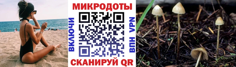 Галлюциногенные грибы Magic Shrooms  купить  цена  Венёв 